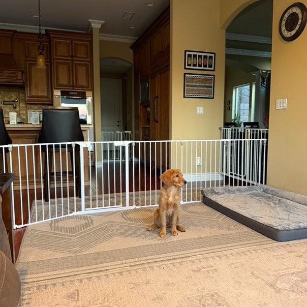 FairyBaby 3/6/8-Panel Wall-Mount Freestanding Dog Gate,White/Charcoal Gray