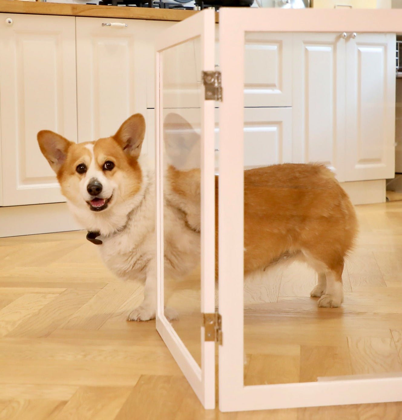 Fairybaby Clear Freestanding Foldable Dog Gate - FairyBaby